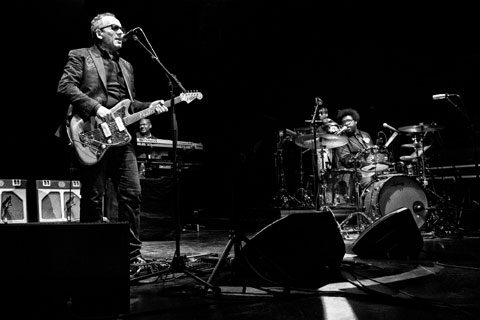 Elvis Costello and the Roots