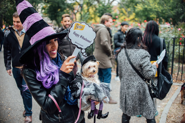 Tompkins Square Halloween Dog Parade 2015