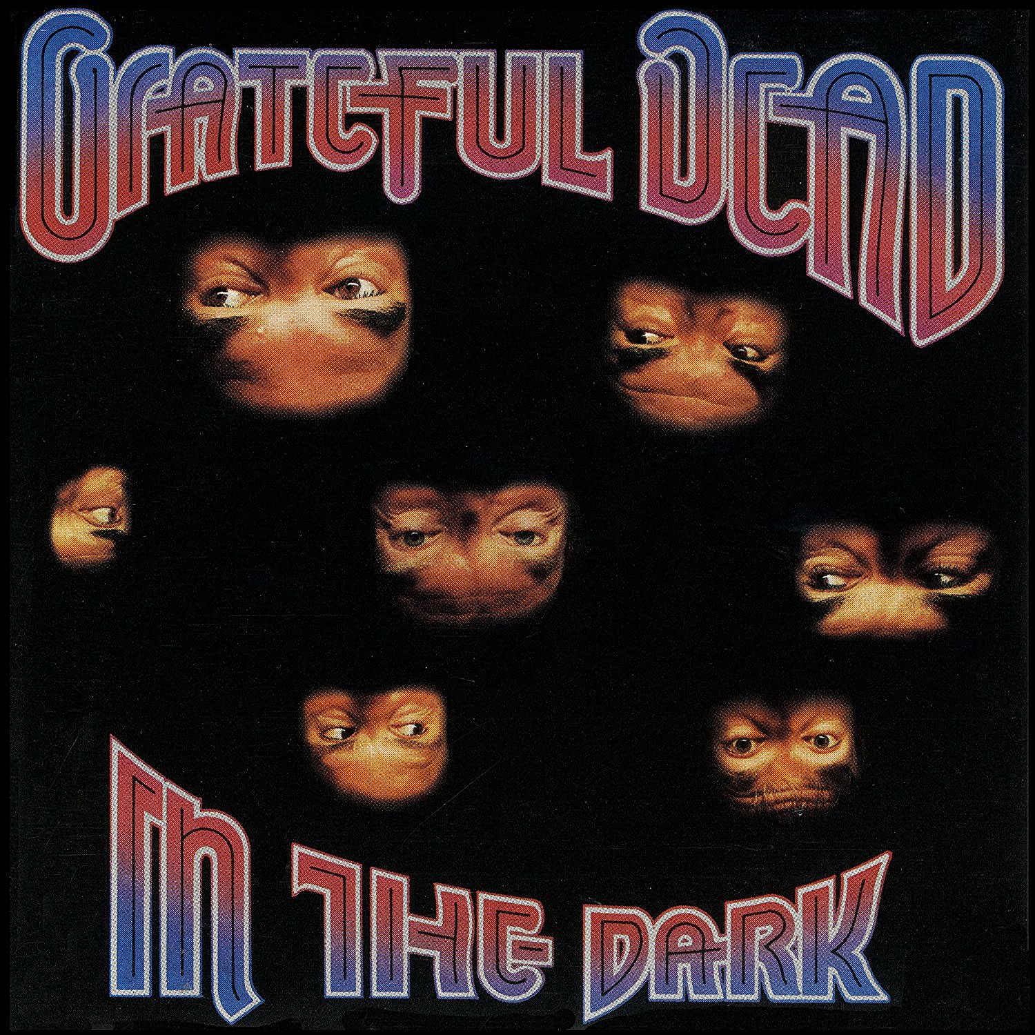 The Grateful Dead In the Dark