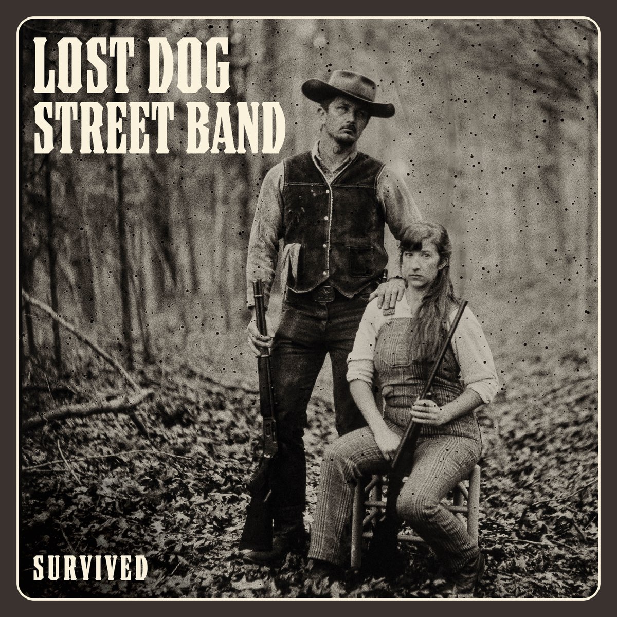 Lost Dog Street Band Survived